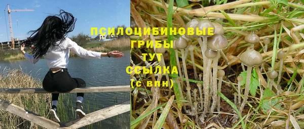 не бодяженный Волоколамск