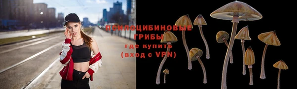 не бодяженный Волоколамск
