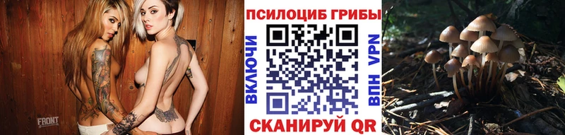 Купить  Новокузнецк  Псилоцибиновые грибы мухоморы 